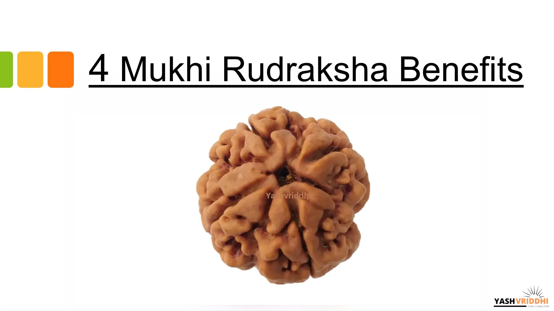 4 Mukhi Rudraksha benefits