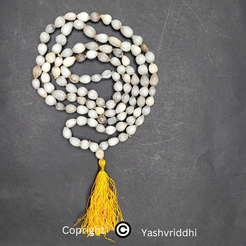 Shivaay Fashion Vaijanti Mala 108+1 Beads For Victory Jaap Mala