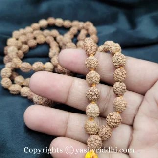 4 Mukhi Rudraksha Mala 100% Original Lab Certified