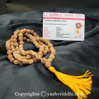 4 Mukhi Rudraksha Mala 100% Original Lab Certified - Image 2