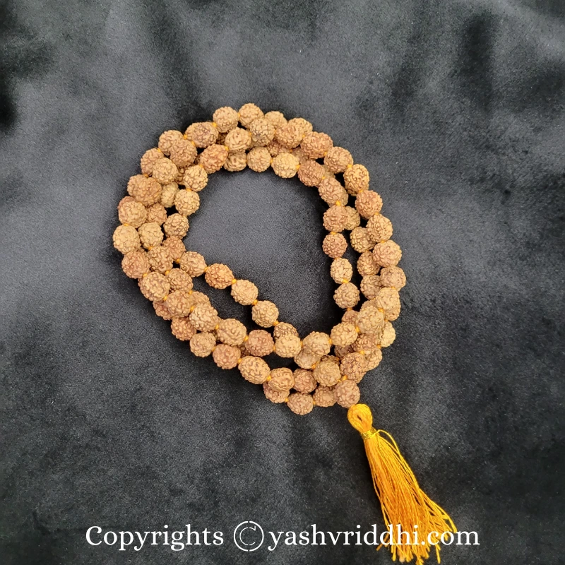 4 Mukhi Rudraksha Bracelet – Rudradhyay
