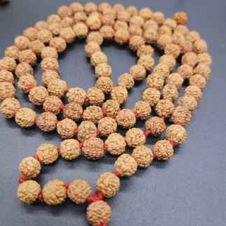 6 FACE RUDRAKSHA MAHA MALA