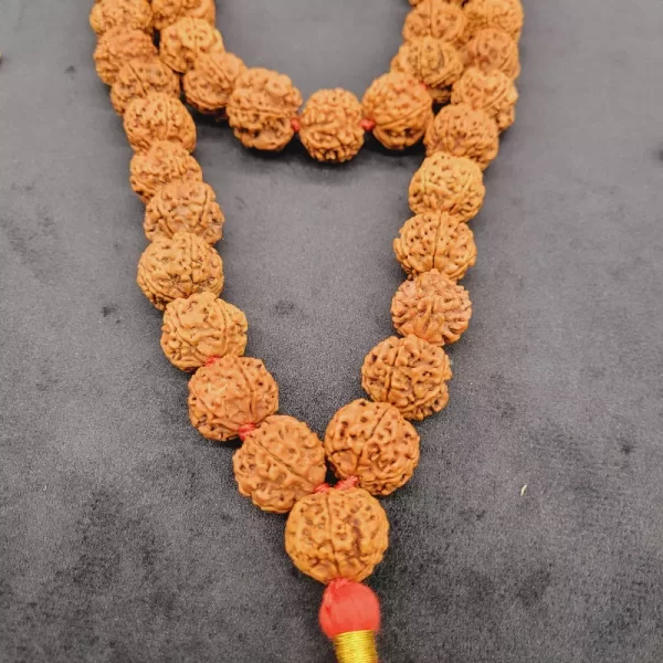 Rudraksha Kanthi 54 + 1 Beads