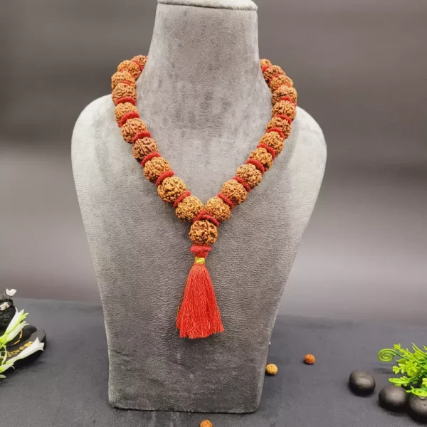 Rudraksha Kanthi 33 + 1 Beads (1)