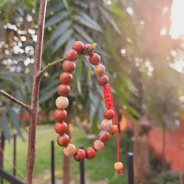 Red Jasper Bracelet