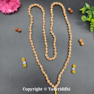 5 Mukhi Rudraksha Mala for Kantha Mala-7mm - Image 3