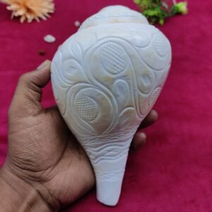 Original Blowing / Vamavrati Shankh Hand Maded Design Premium Quality 7.5 inches - Image 2