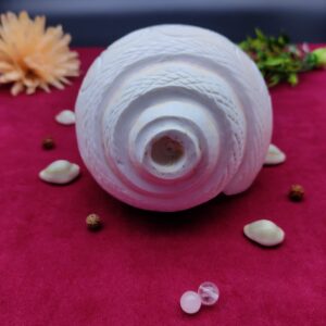 Original Blowing / Vamavrati Shankh Hand Maded Design Premium Quality 7.5 inches - Image 6