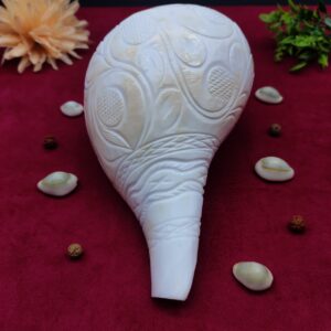 Original Blowing / Vamavrati Shankh Hand Maded Design Premium Quality 7.5 inches
