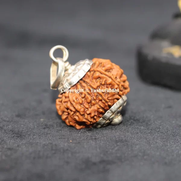 9 Mukhi Rudraksha Pendant Original Nepali Beads