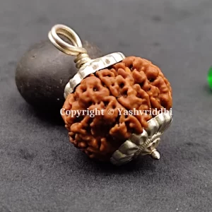 8 Mukhi Rudraksha Pendants with X-Ray and Certified | 8 Face-02