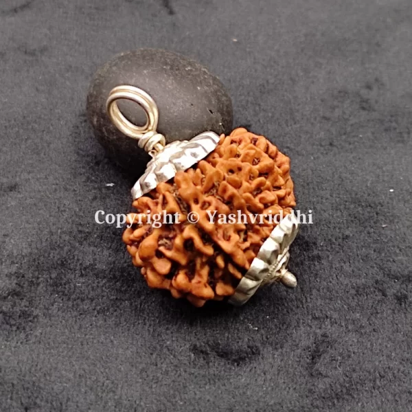 11 Mukhi Rudraksha Pendant with X-Ray and Certified | 11 Face-03