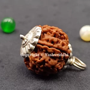 8 Mukhi Rudraksha Pendants with X-Ray and Certified | 8 Face-02 - Image 2