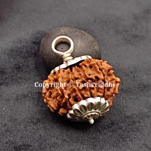 11 Mukhi Rudraksha Pendant with X-Ray and Certified | 11 Face-02