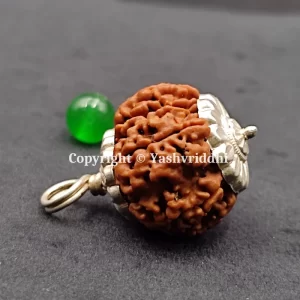 8 Mukhi Rudraksha Pendants with X-Ray and Certified | 8 Face-02 - Image 3