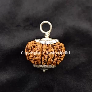 11 Mukhi Rudraksha Pendant with X-Ray and Certified | 11 Face-01 - Image 3