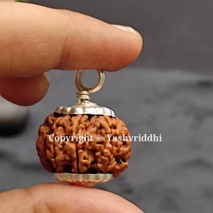 8 Mukhi Rudraksha Pendants with X-Ray and Certified | 8 Face-02 - Image 5