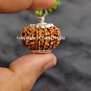 11 Mukhi Rudraksha Pendant with X-Ray and Certified | 11 Face-01 - Image 5