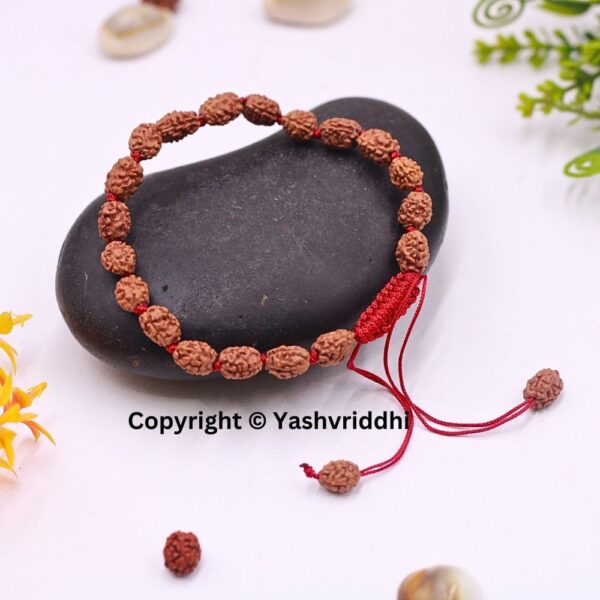 "Divine Harmony: 2 Mukhi Rudraksha Bracelet"