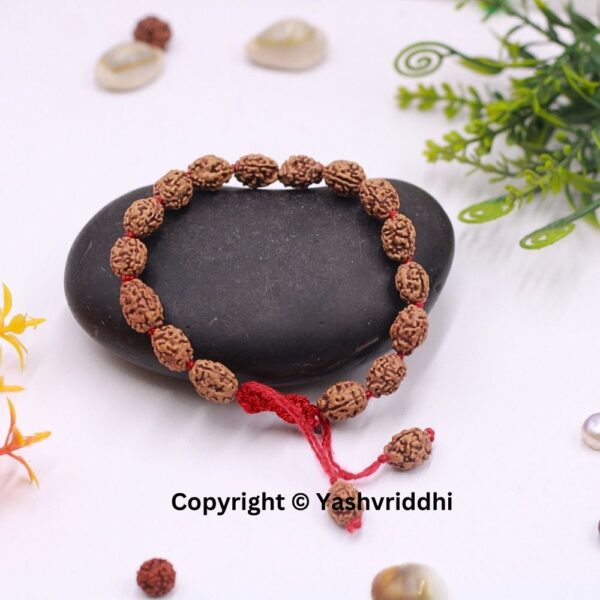 "Confidence & Creativity: 3 Mukhi Rudraksha Charm Bracelet"