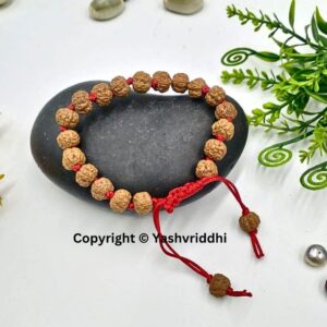 Peaceful Vibes: 5 Mukhi Rudraksha Bead Bracelet