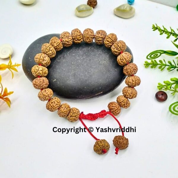 Stylish 6 Mukhi Rudraksha Bracelet