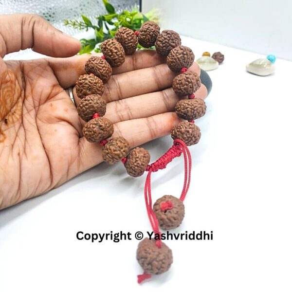 "8 Mukhi Rudraksha Bracelet: Embrace Strength & Stability" - Image 5