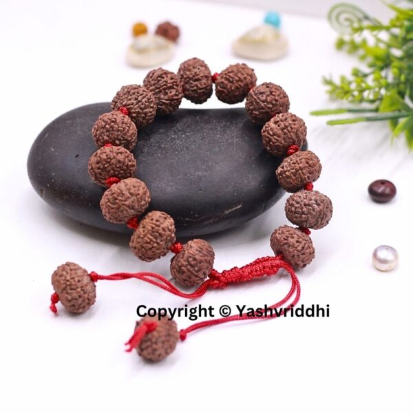 "Bold & Beautiful: 9 Mukhi Rudraksha Bracelet"