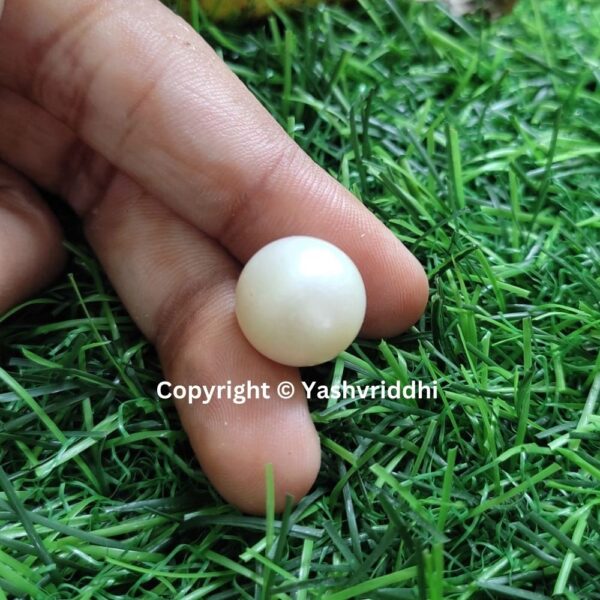 South Sea Natural Pearl 18.20 Carat (PEA-17) - Image 3