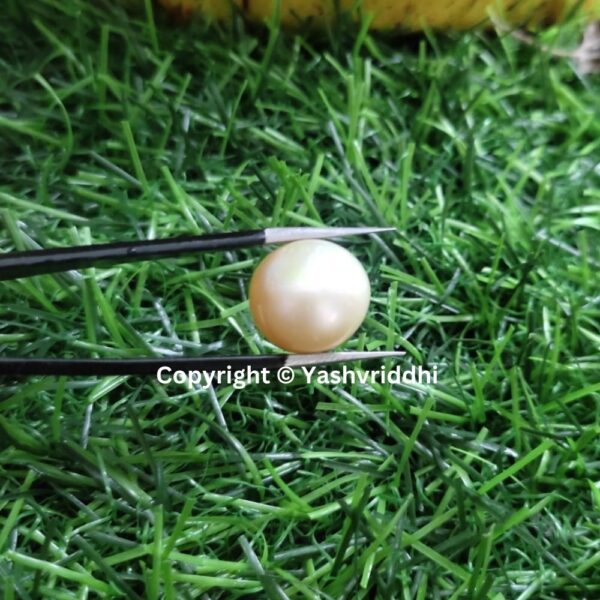 South Sea Natural Pearl 16.45 Carat (PEA-18) - Image 3