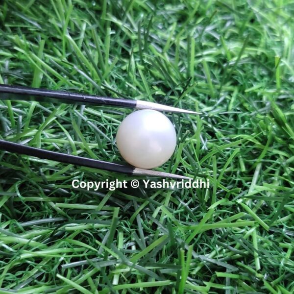 South Sea Natural Pearl 16.35 Carat (PEA-19) - Image 3