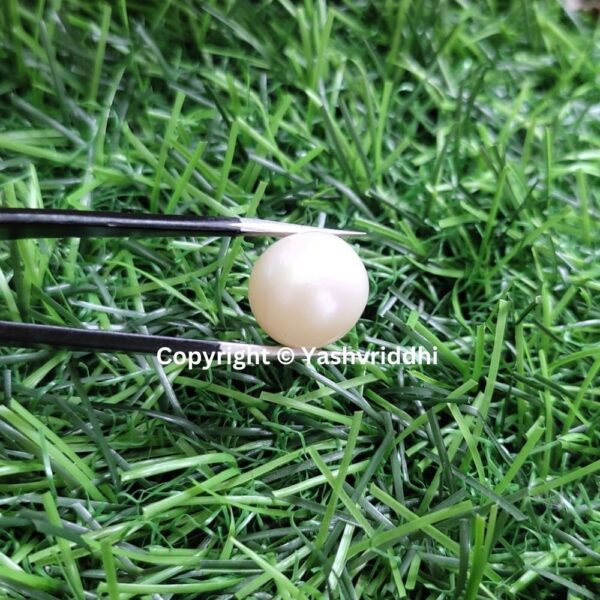 South Sea Natural Pearl 13.70 Carat (PEA-22) - Image 3