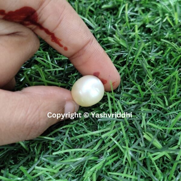 South Sea Natural Pearl 15.75 Carat (PEA-31) - Image 3