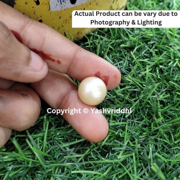 South Sea Natural Pearl 14.25 Carat (PEA-32) - Image 3