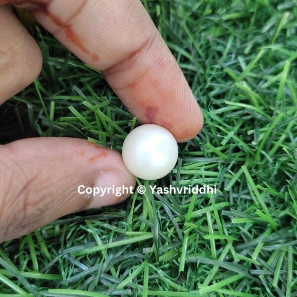 South Sea Natural Pearl 11.15 Carat (PEA-36) - Image 3