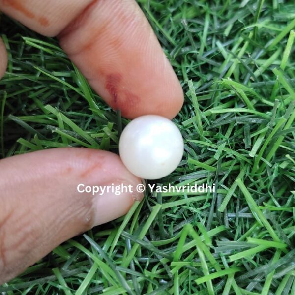 South Sea Natural Pearl 9.25 Carat (PEA-37) - Image 3