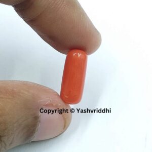 Natural Red Coral 2.7 Carat (RCOR-17) - Image 4