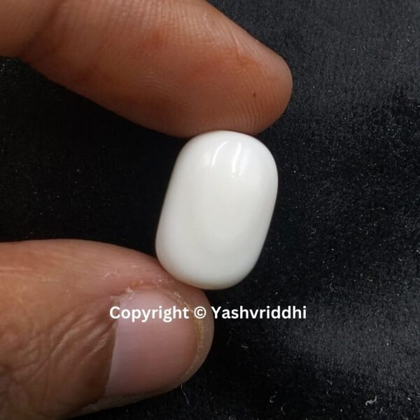 Natural Certified White Coral 10.61 Carat (WCOR-7) - Image 3