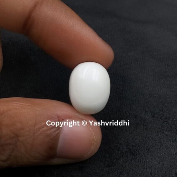 Natural Certified White Coral 10.12 Carat (WCOR-10) - Image 3