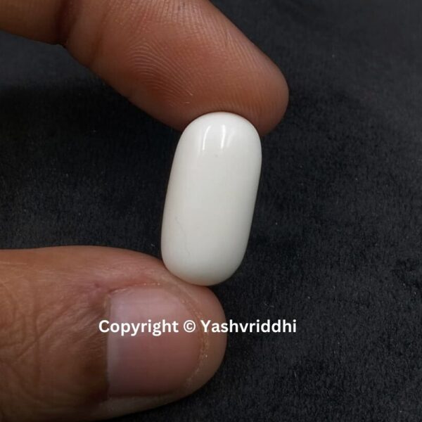 Natural Certified White Coral 10.01 Carat (WCOR-12) - Image 3