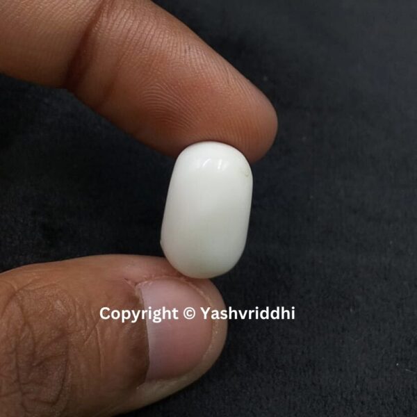 Natural Certified White Coral 12.15 Carat (WCOR-13) - Image 3