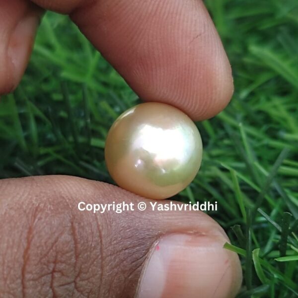 South Sea Natural Pearl 12 Carat (PEA-7) - Image 3