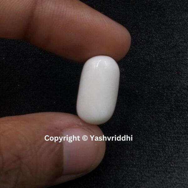 Natural Certified White Coral 12.10 Carat (WCOR-14) - Image 3