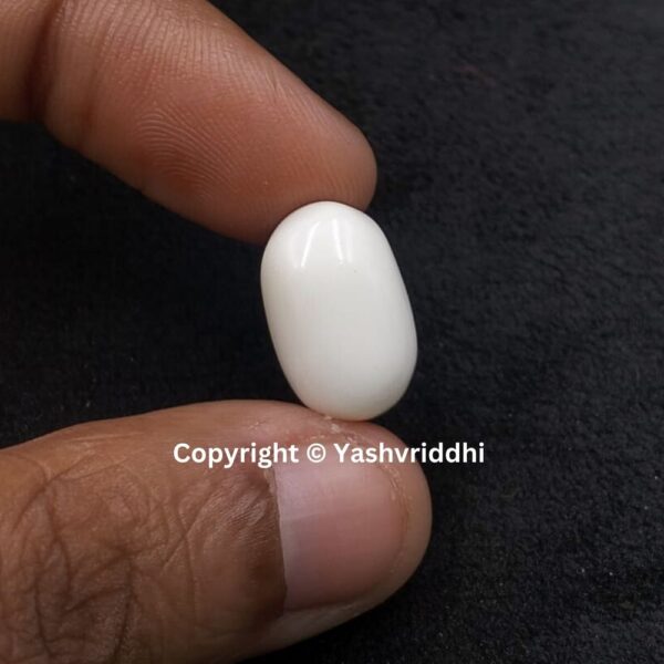 Natural Certified White Coral 11.05 Carat (WCOR-15) - Image 3