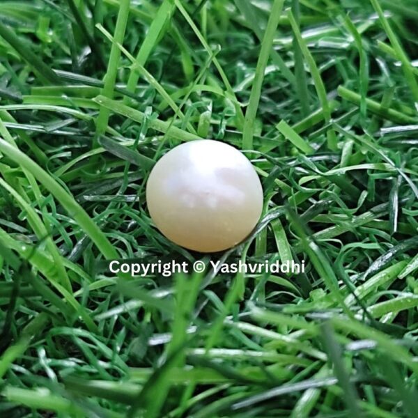 South Sea Natural Pearl 4.80 Carat (PEA-13) - Image 5