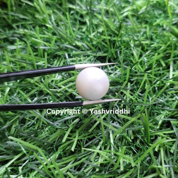 South Sea Natural Pearl 12.70 Carat (PEA-23) - Image 4