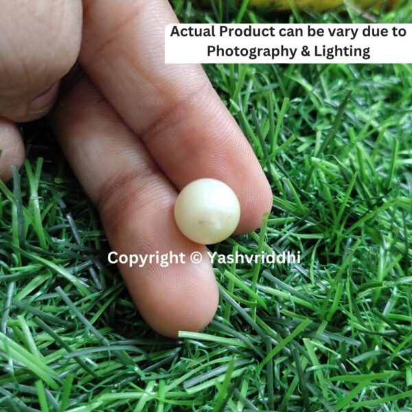 South Sea Natural Pearl 7.25 Carat (PEA-25) - Image 4