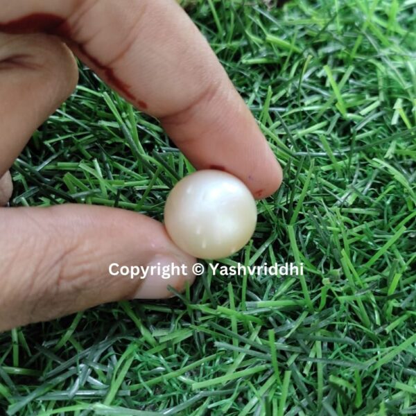 South Sea Natural Pearl 23.75 Carat (PEA-26) - Image 4