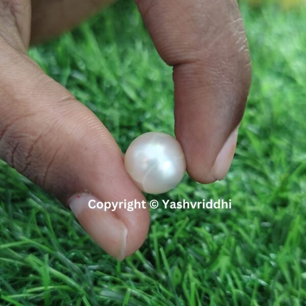 South Sea Natural Pearl 10.8 Carat (PEA-3) - Image 4