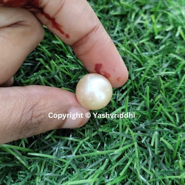 South Sea Natural Pearl 17.70 Carat (PEA-29) - Image 4